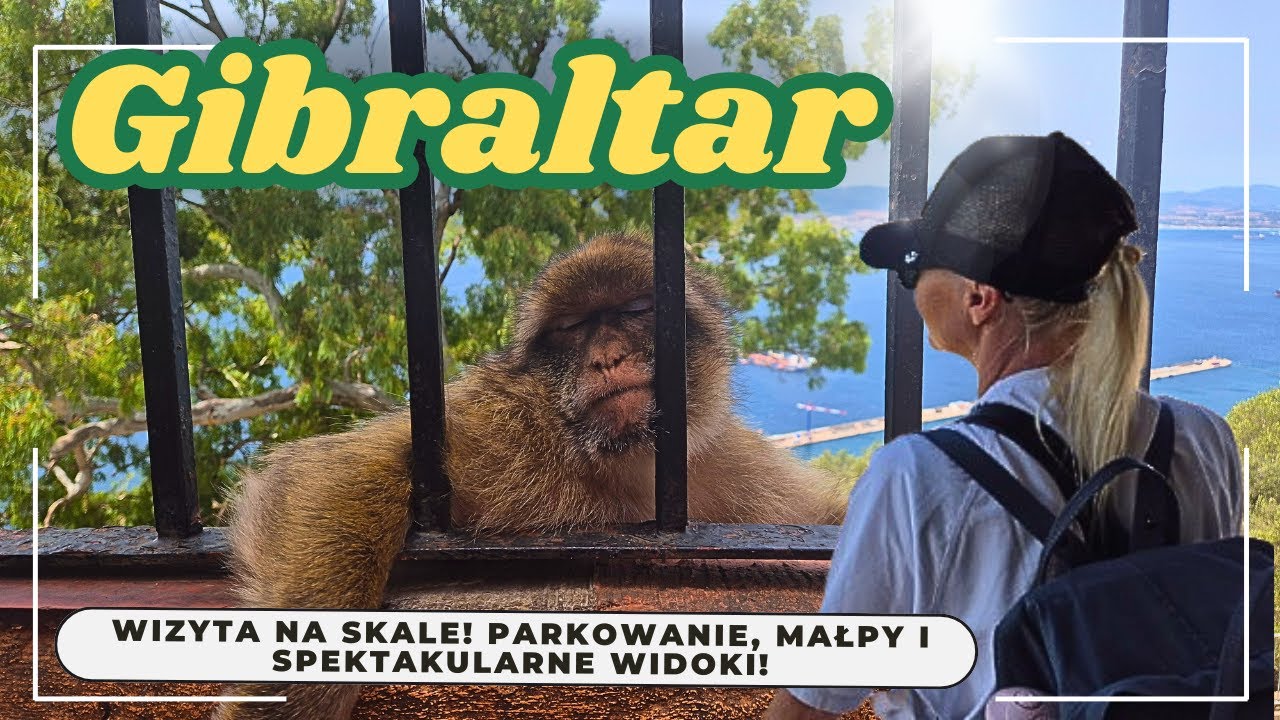 Gibraltar – małpy atakują!!!, wizyta na Skale! Parkowanie, spektakularne widoki! 🇬🇮🐒 #gibraltar
