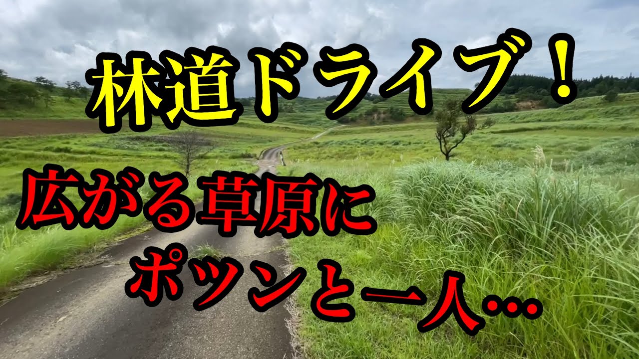 養父市【林道を抜けると広がる緑】杉ヶ沢高原へ行ってみた！