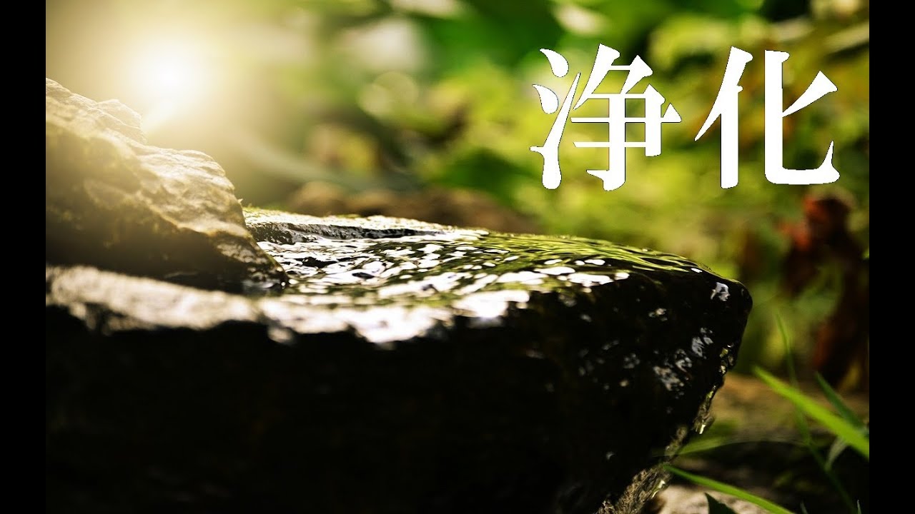 心身の浄化　心と体に溜まった汚れや邪気を洗い流し 幸運を呼び込む 音楽｜Clear all Negative Energy - Meditation Music　【休息】