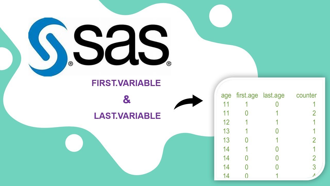 First.Variable and Last.Variable in SAS || How To Create Counter Variable?