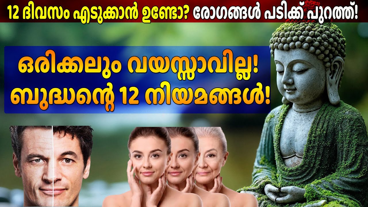 60-ലും 20-ന്റെ ചുറുചുറുക്ക്! രോഗങ്ങൾ പടിക്ക് പുറത്ത്!🌳| ബുദ്ധൻ പറഞ്ഞ 12 രഹസ്യങ്ങൾ | BUDDHA MALAYALAM