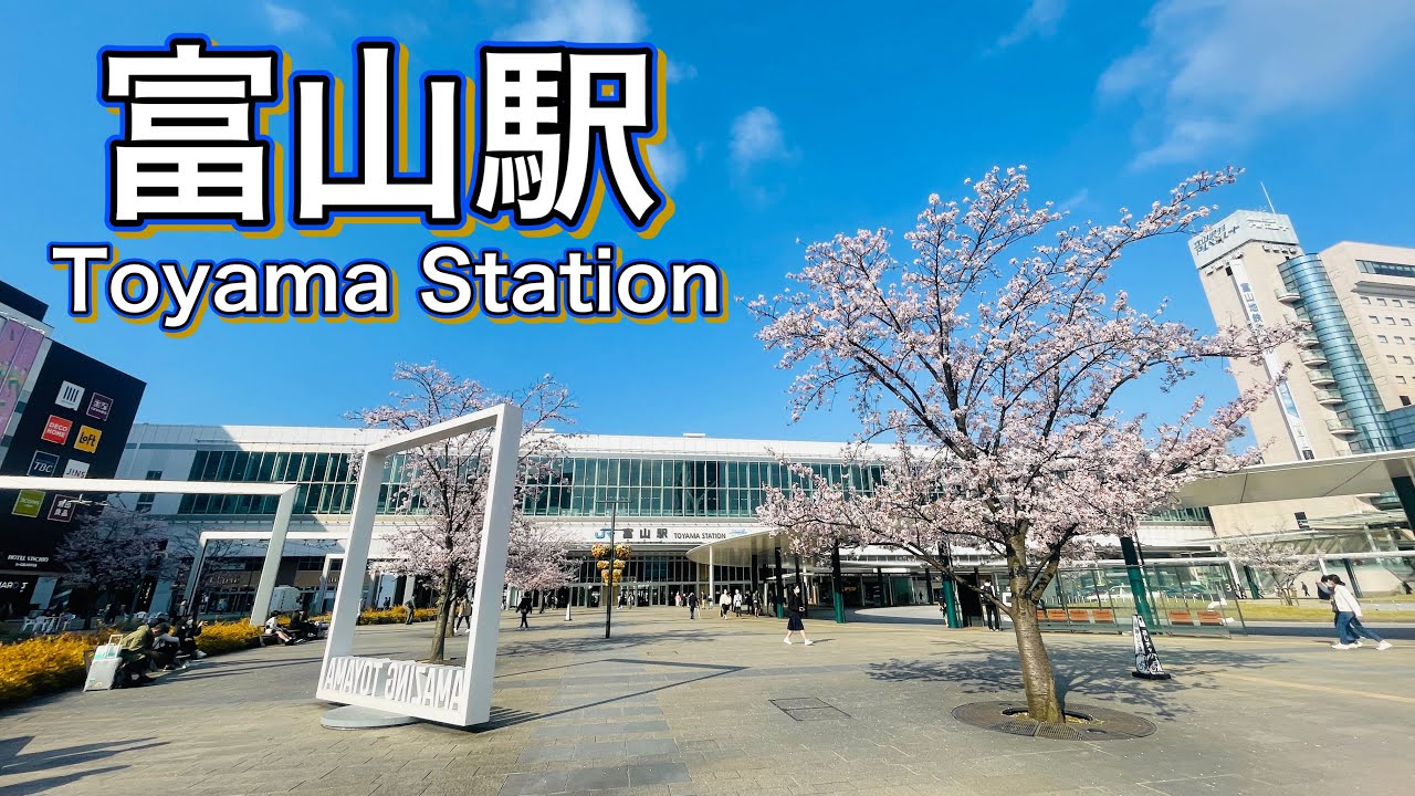 富山県 桜満開の富山駅周辺を歩く　Walk around Toyama Station with cherry blossoms in full bloom  2023.4.3