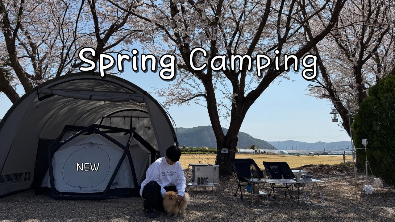 완벽했던 벚꽃 캠핑 Feat.🐶 | 네이버후드 터널 그레이 | camping vlog