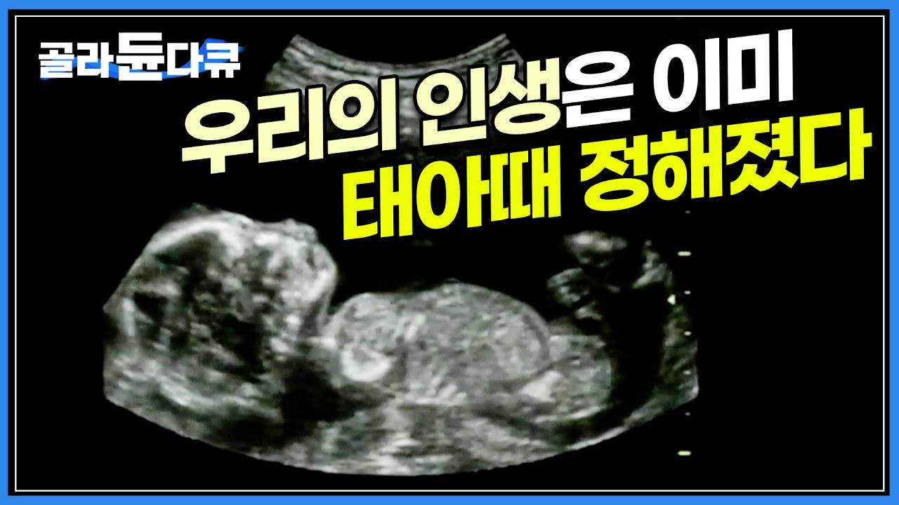 유전자, 환경 뿐만 아니라 엄마 뱃속에서의 삶의 질이 나머지 삶을 끌고 간다는 '태아 프로그래밍' 이론ㅣ출산율을 걱정하는 시대, 오히려 출산의 질에 주목한다ㅣ다큐프라임ㅣ#골라듄다큐