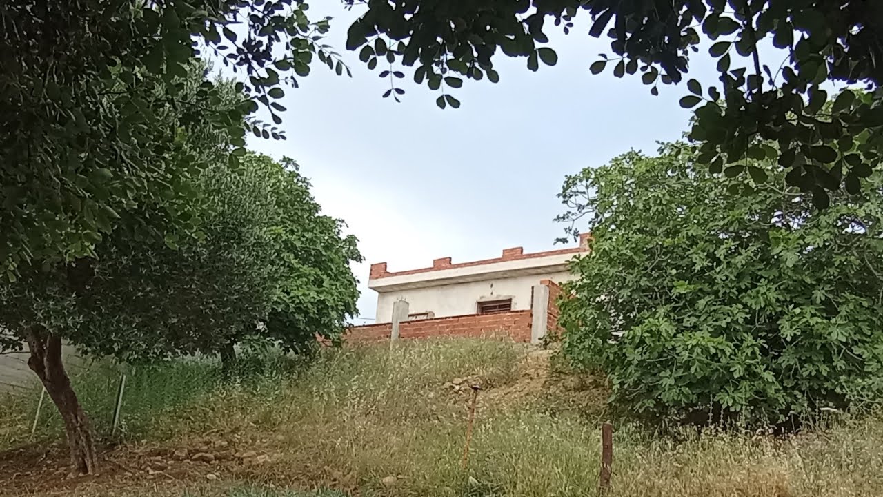 هميزة معتبرة 💥 دار وغرسة 🏡رائعة فالطبيعة الخلابة 🌳 مساحة 600متر مطلة على البحر 0703640826ملوسة طنجة