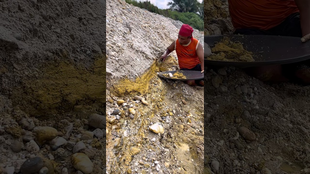pure gold dust mining process maret2026⚒️ovascotia #longweekend