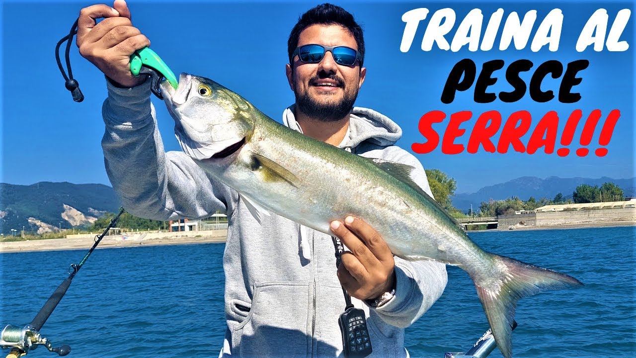Traina al pesce SERRA con i soci della A.S.D. Sasà Fishing