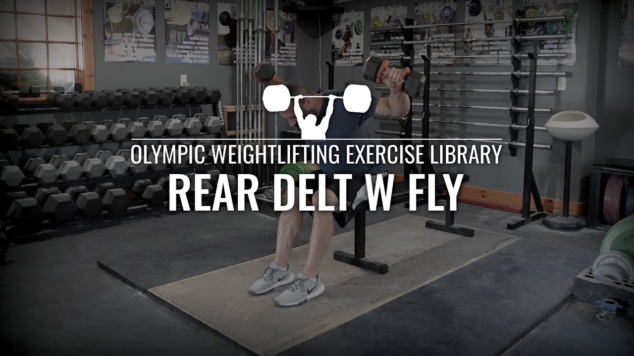 Rear Delt W Fly | Olympic Weightlifting Exercise Library