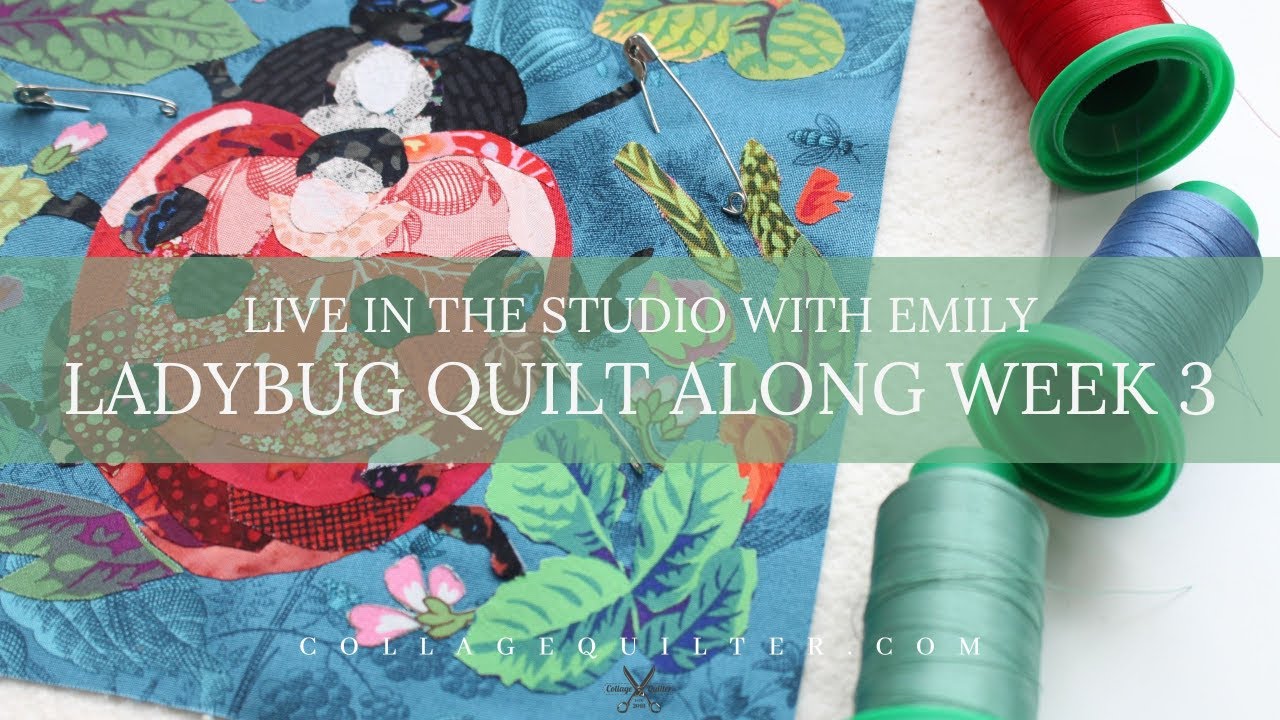 Ladybug Quilt Along Week 3