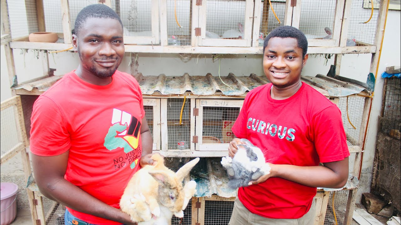 How He Started His Successful Rabbit Farm With GHS 300 ($ 50) #charlesfarmingproject