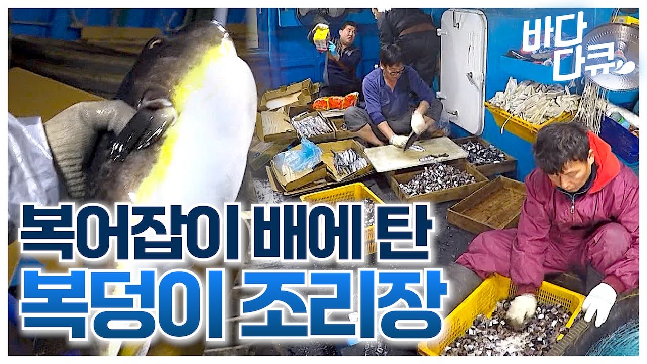 우리 배에 아주 복덩이 조리장이 탔다~ / 2만 개 바늘에 끼운 꽁치 2천 마리 / 9박 10일 독도 앞바다 만선 복어잡이 / #바다다큐