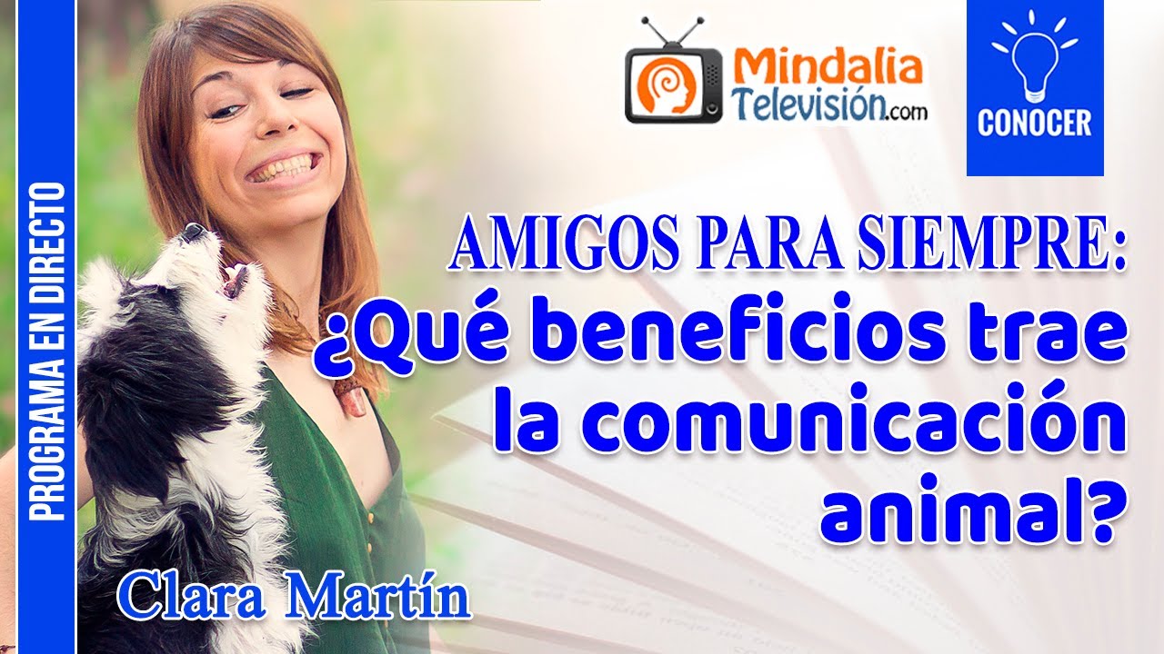 &iquest;Qu&eacute; beneficios trae la comunicaci&oacute;n animal?, por Clara Mart&iacute;n