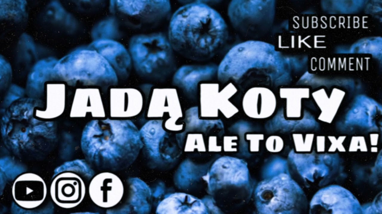 JADĄ KOTY- ALE TO VIXA ★SARGOS