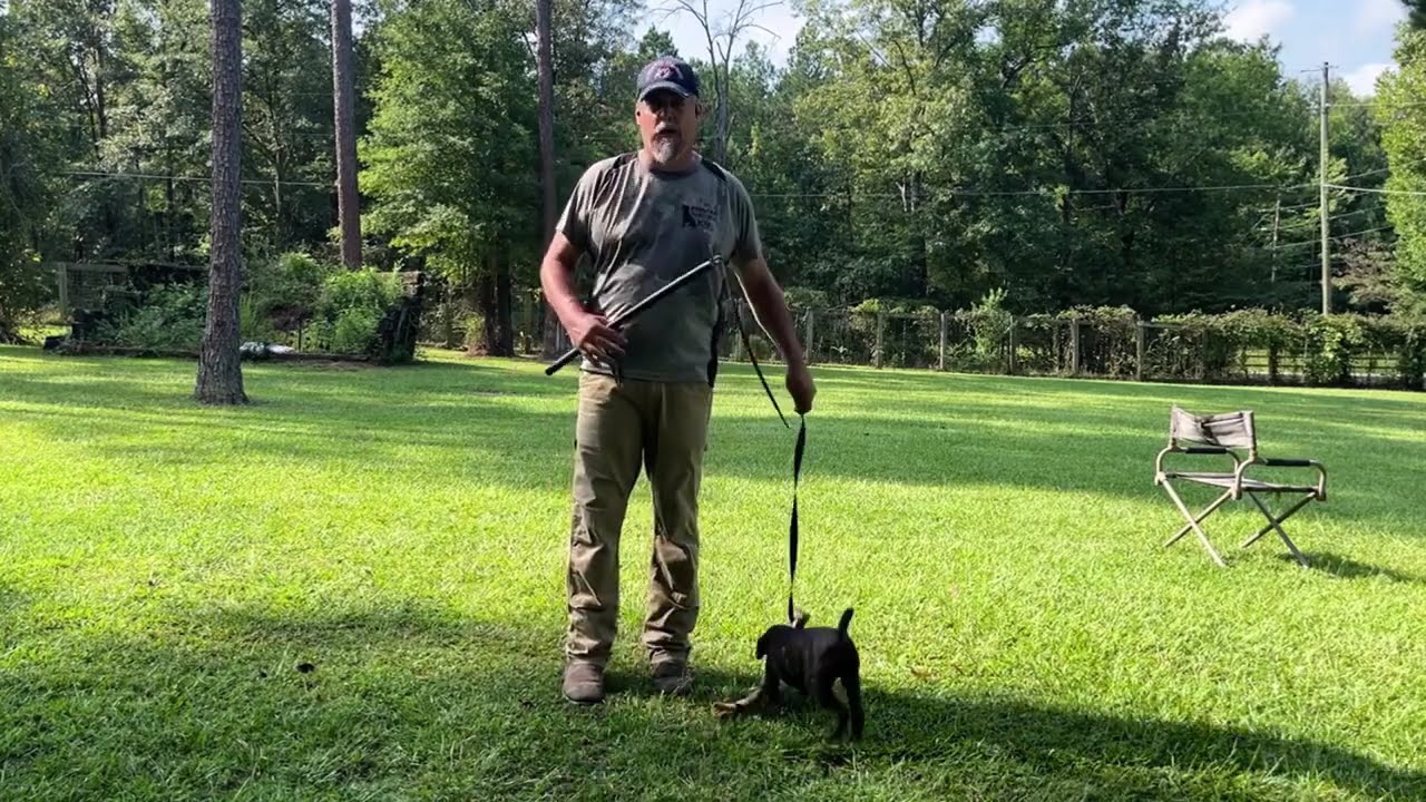 Protection work: differentiating praise vs reward during bite development for prey vs defense