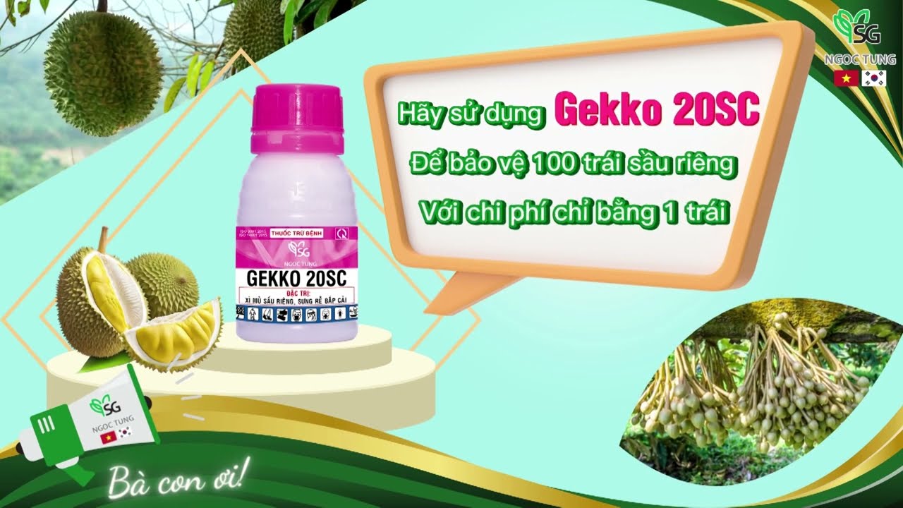 GEKKO 20SC - BẢO VỆ 100 TR&Aacute;I SẦU RI&Ecirc;NG VỚI CHI PH&Iacute; CHỈ BẰNG 1 TR&Aacute;I #ngoctung #gekko #saurieng