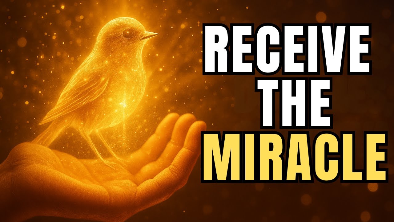 Tonight, receive Wealth, Health, Miracles, and Love from the Universe &ndash; Law of Attraction
