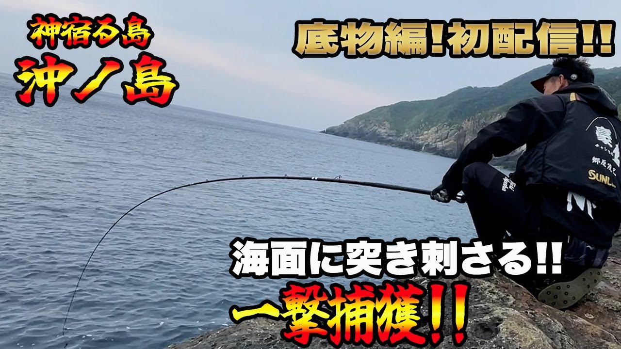 【クエ・石鯛釣り】底物編初配信❕『やはり沖ノ島は凄かった❕』銀ワサ捕獲❕#沖ノ島 #クエ #石鯛