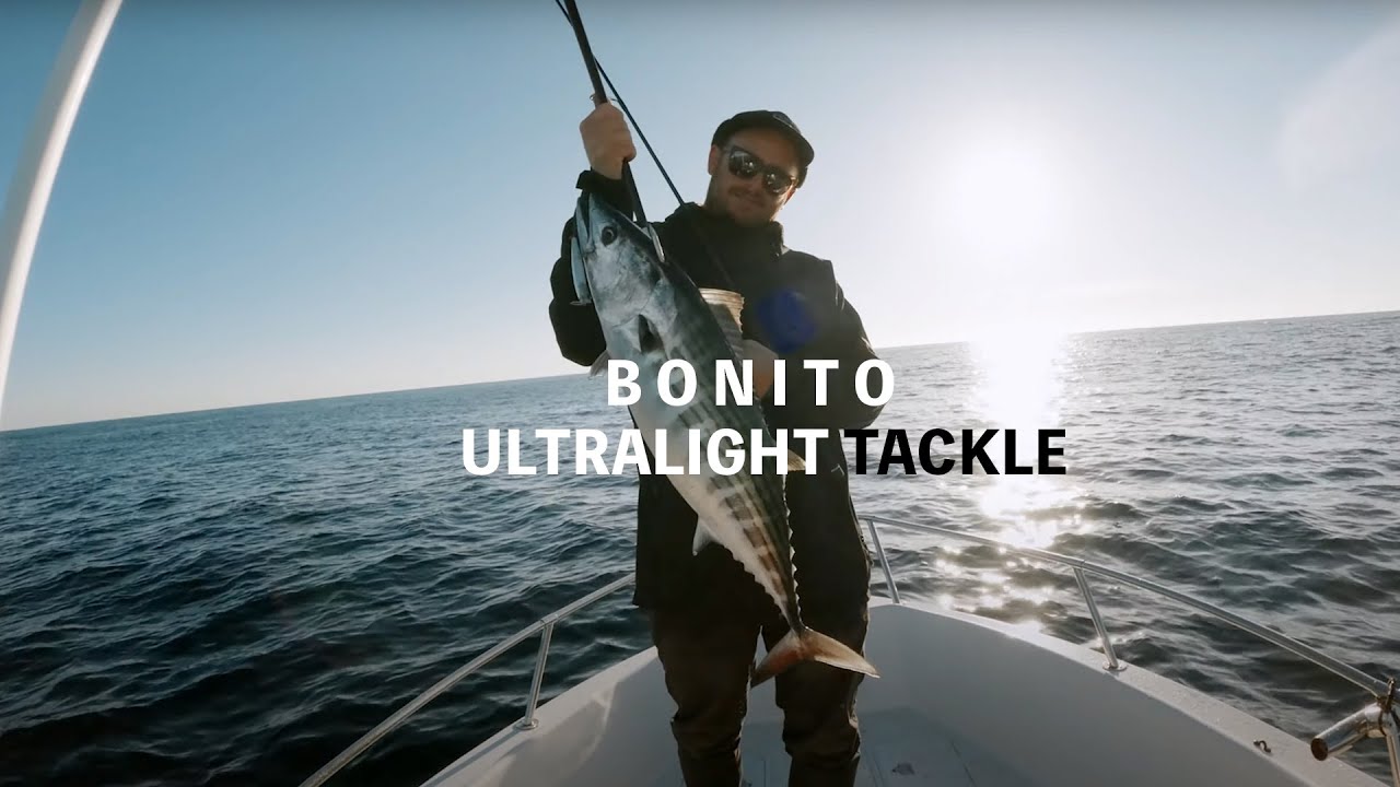 Wintertime Bird School Bonito x Ultralight Fishing // Catch & Cook