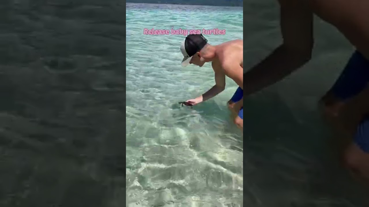 Things to do on Gili Meno! 🐢 #shorts #gilimeno #giliislands