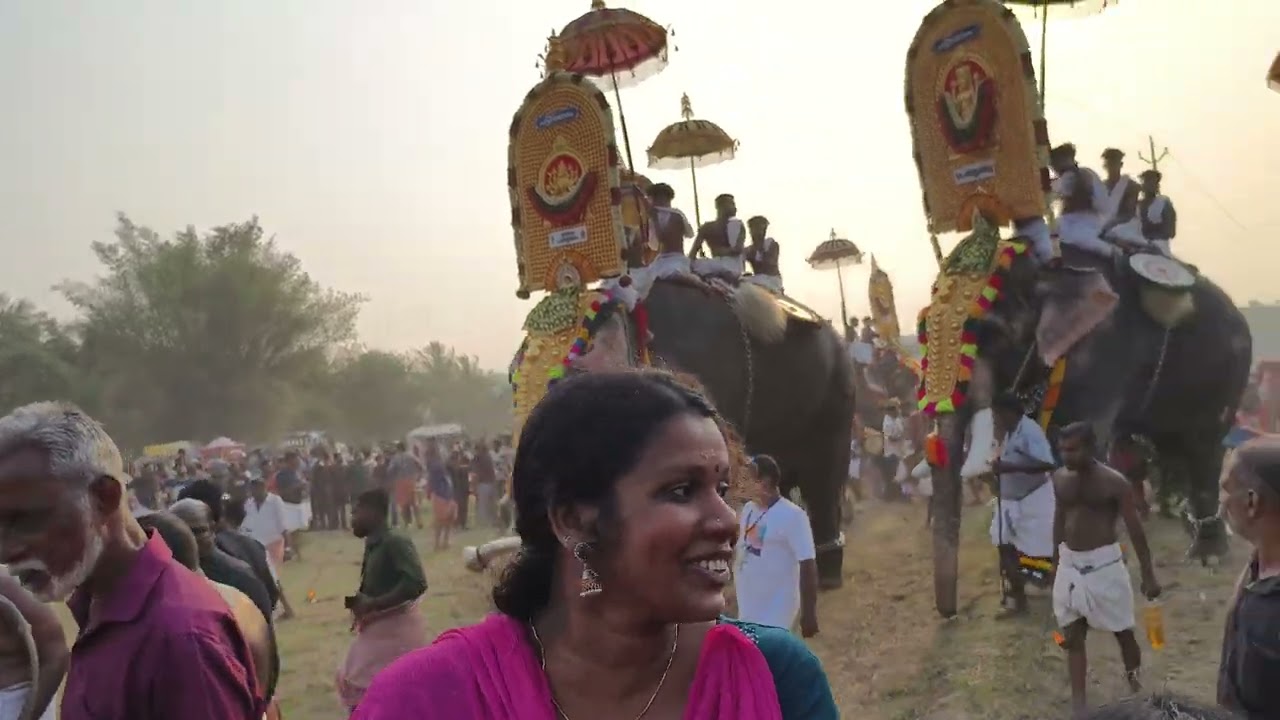 Pattithadam Pooram Feb 2025
