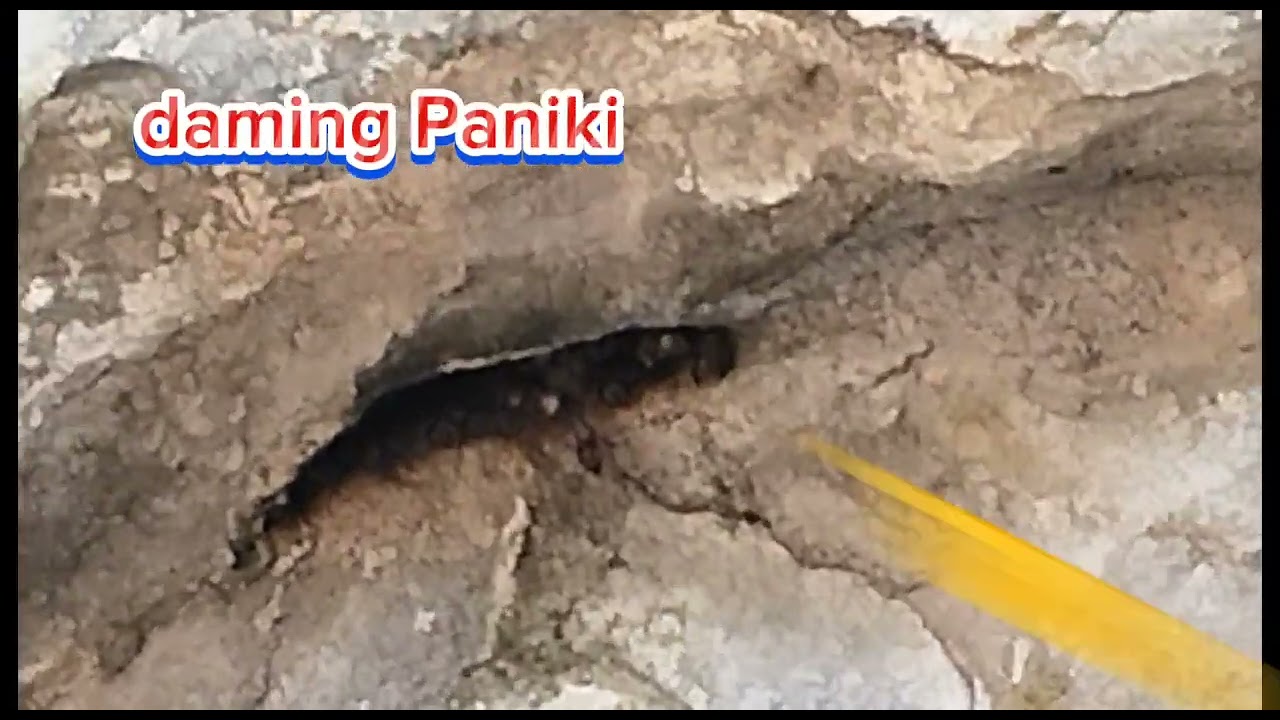 Batangas Mothers Day Road Trip                  May 11, 2025