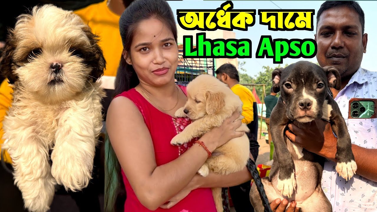 Serampore Pet Market. Dog Market in Kolkata Price. Pet Market in Kolkata.