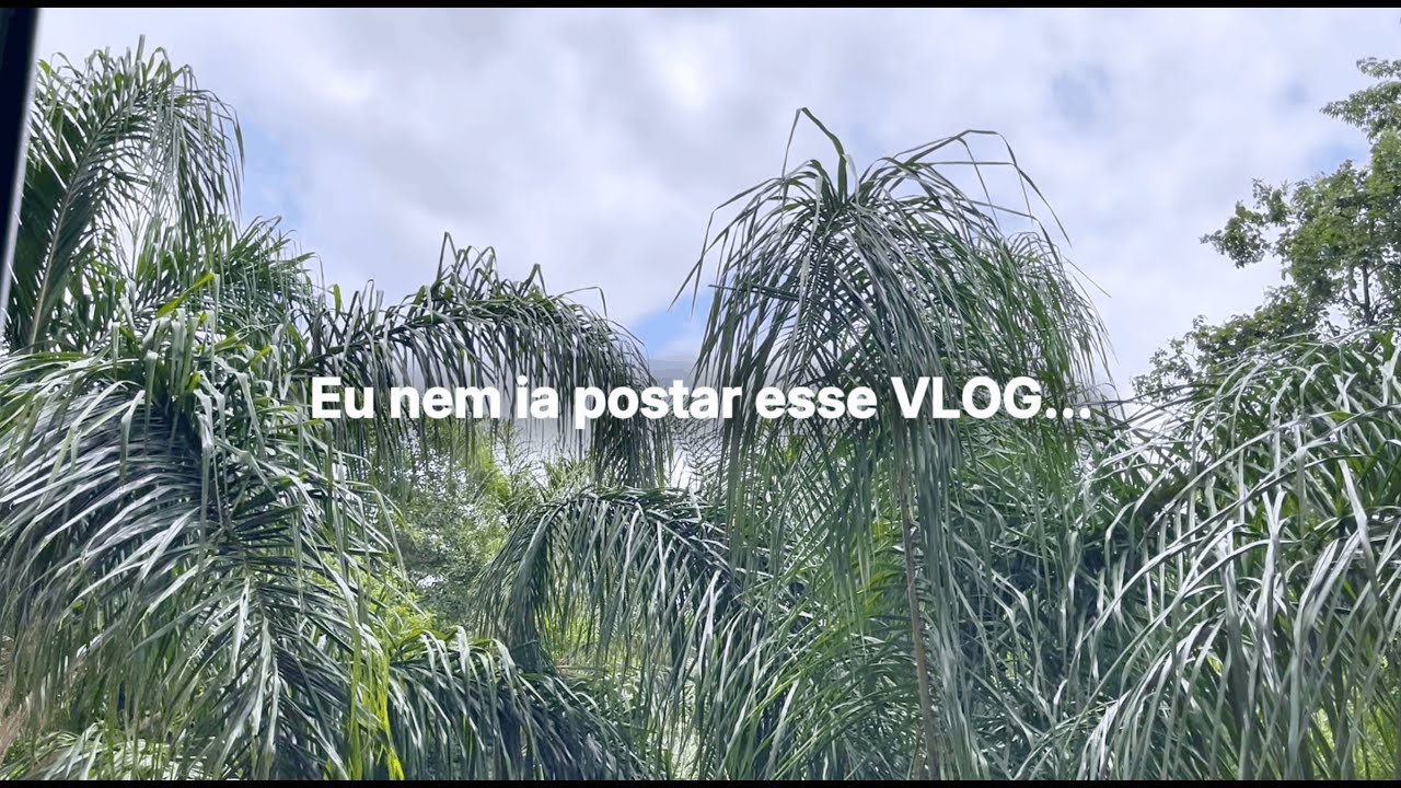 Um VLOG que eu não ia postar... Dias um tanto difíceis, mas é a vida, né?