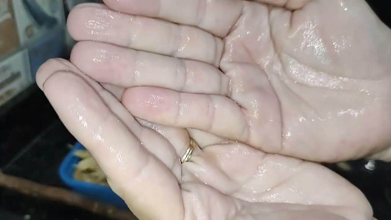 Como retirar o grude da jaca das mãos, Veja essa dica! 