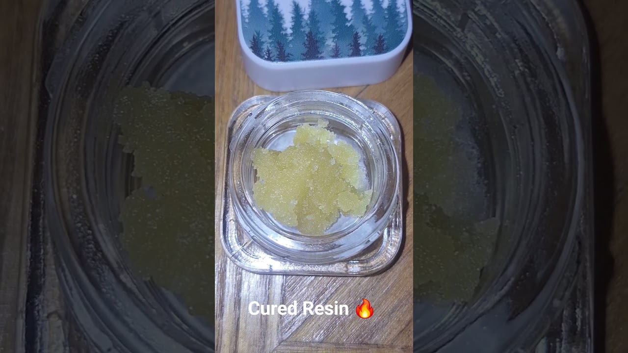 Harbor Farmz HAS to be one of my favorite brands for dabs! #420 #weed #dabs #dispensary #fyp #trend