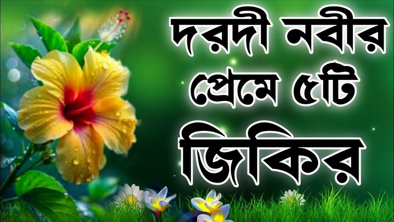 দয়াল দরদী নবীর ৫টি জিকির ও দরুদ শুনুন কলিজা ঠান্ডা হয়ে যাবে ইনশাআল্লাহ কন্ঠ মোঃ হাফিজুর রহমান ২০২৫