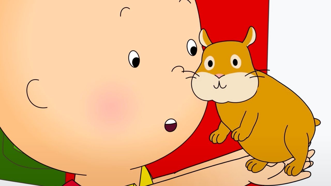 Caillou et le Hamster | Les Nouvelles Aventures de Caillou | Caillou en Français
