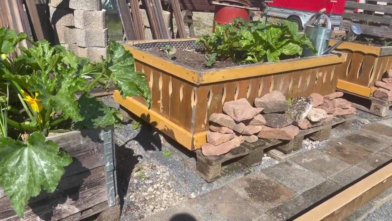 Garden path  and a look at the grow beds
