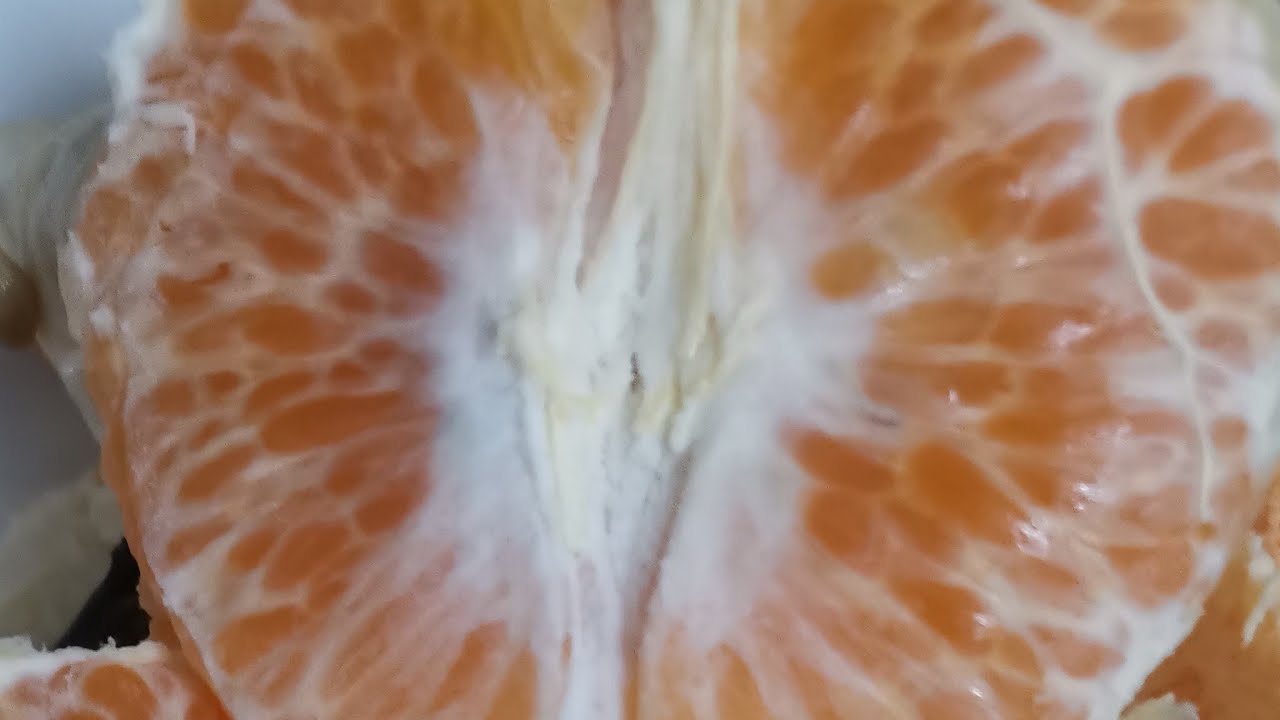 SWEET JUICY ORANGE SLICES