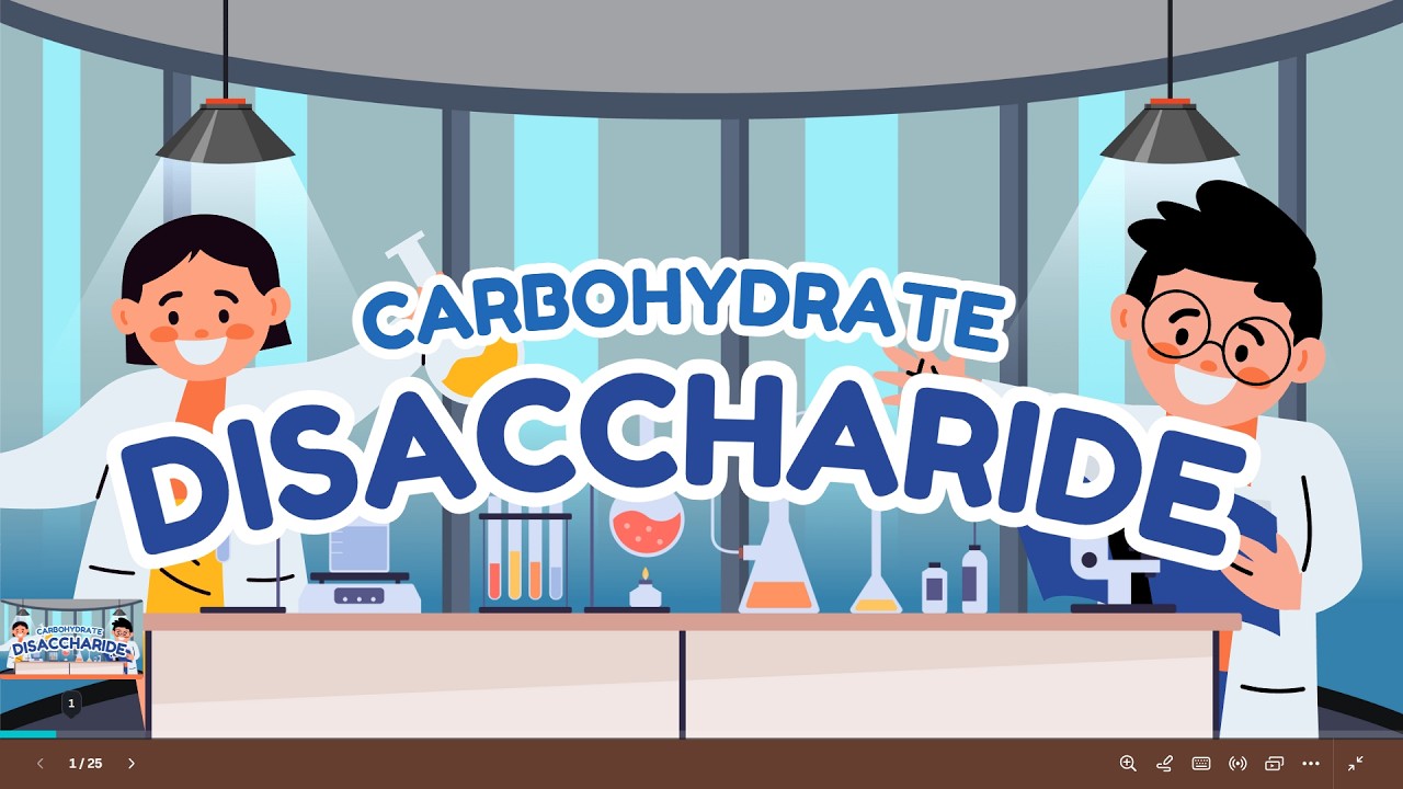 [CARBOHYDRATE] Disaccharide : Maltose