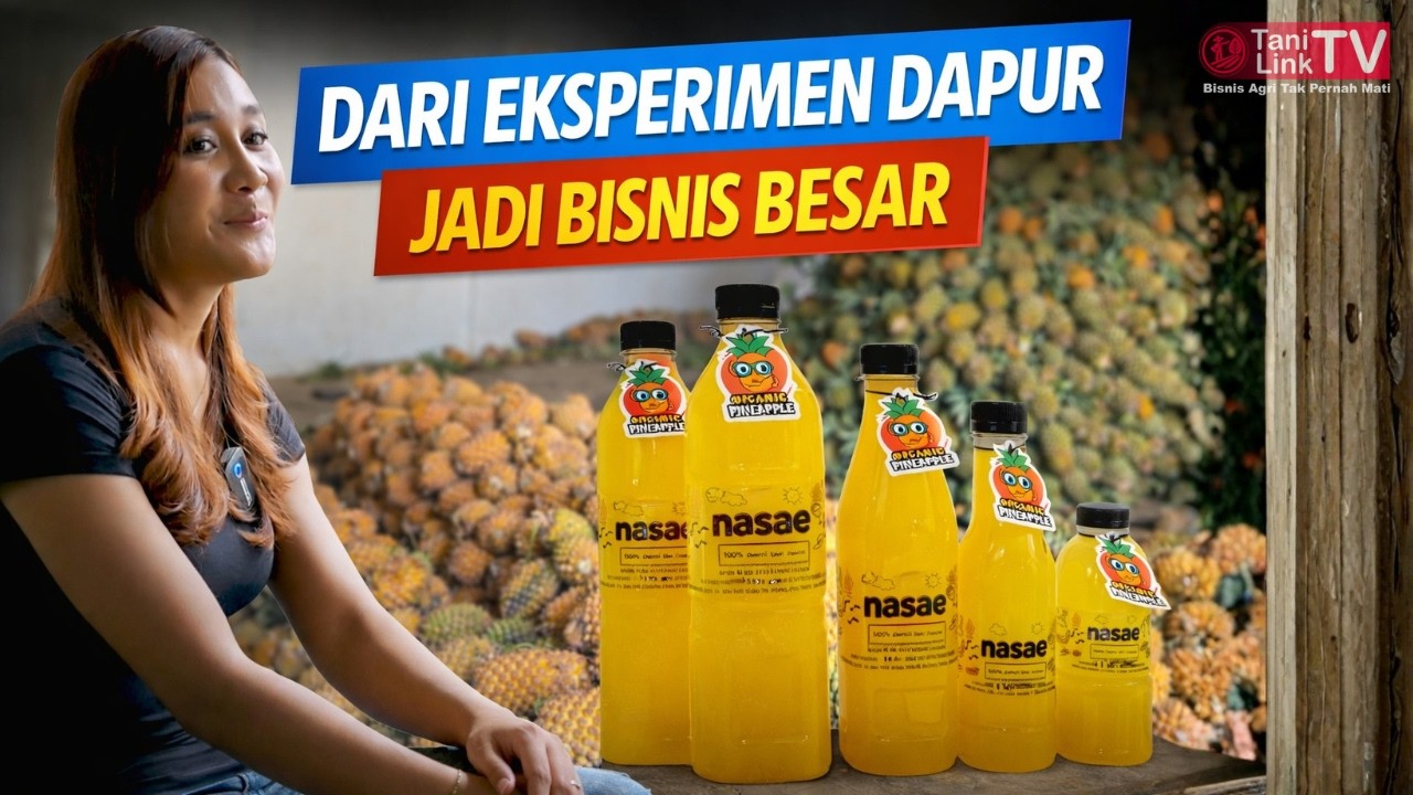 BANJIR ORDER! Peduli Kesehatan Anak, Ibu Muda Produksi Sari Nanas 100% Murni dari Kebun Sendiri.