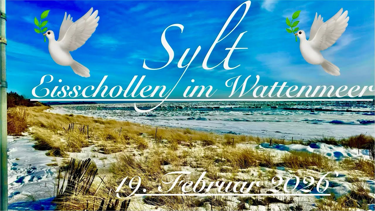 Sylt 💞 Wattenmeer mit Eisschollen 🥰