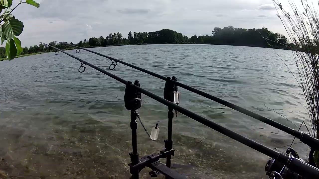 Carp Run Compilation 2022