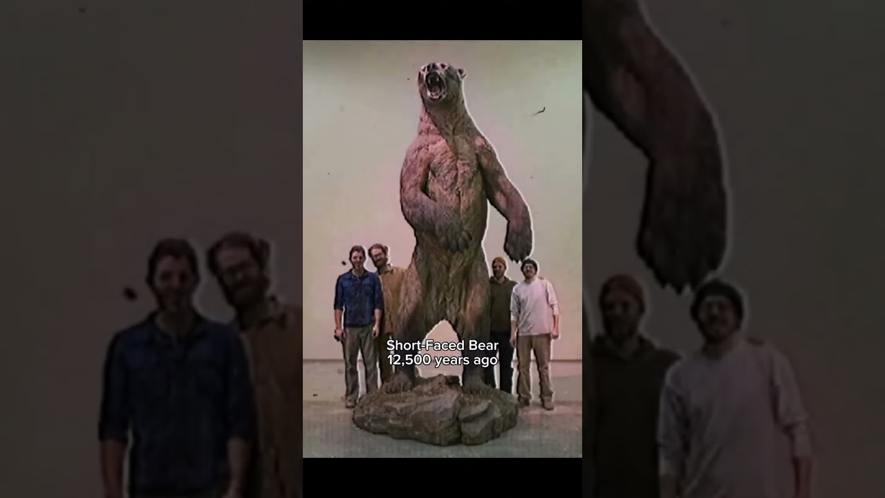 Should I make a part 2 #oldearth #jurassicpark #dinosaur