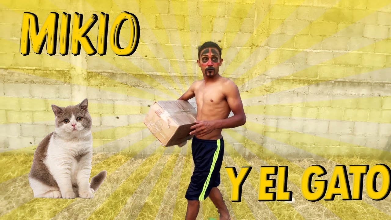 Mikio y el gato🐈.