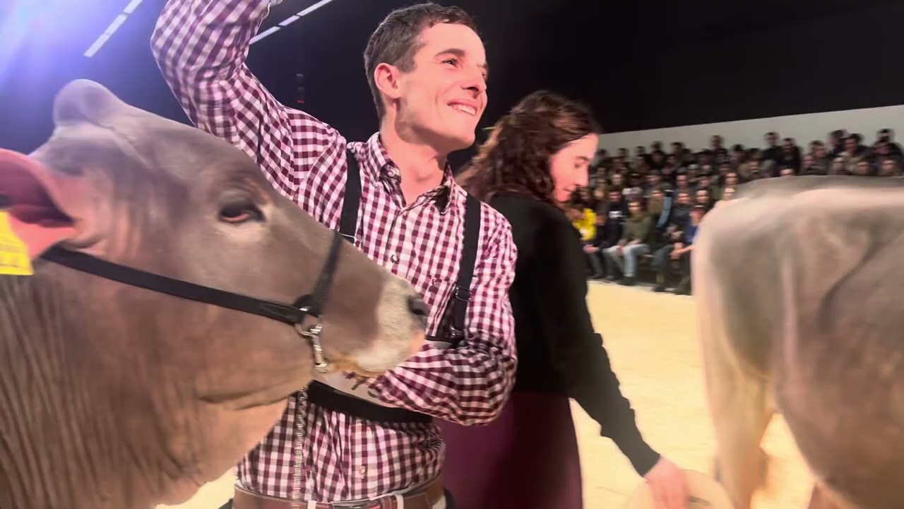 Champion Rinder Brown Swiss Berner Junior Expo 2025