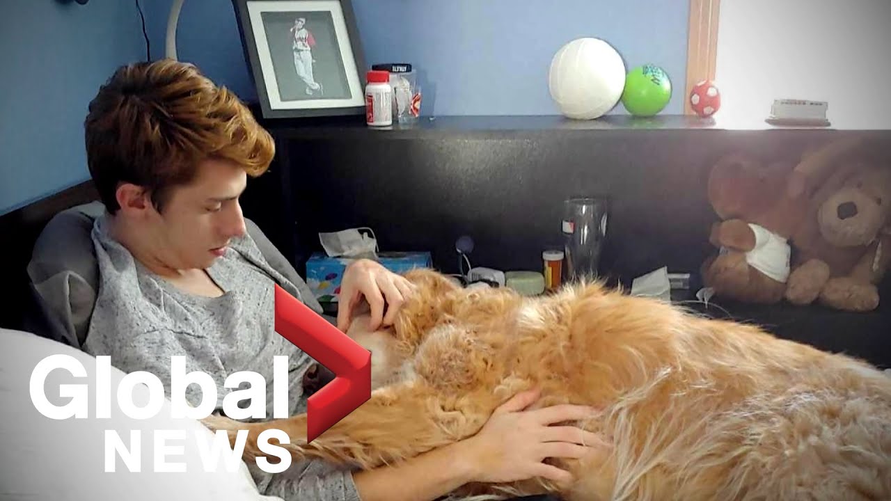 Coronavirus outbreak: COVID-19 teen survivor has a message for young people - pay attention
