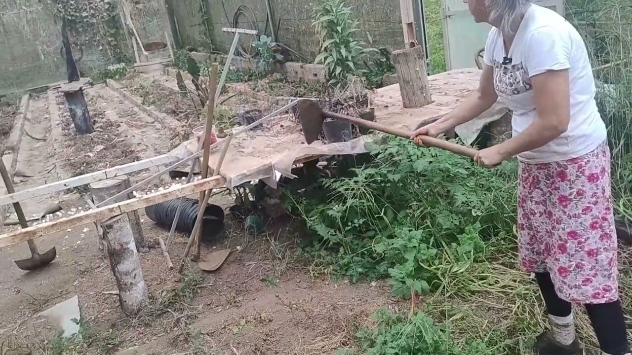 Vou começar organizar a estufa pra plantar,já comecei levando picada de marimbondo.