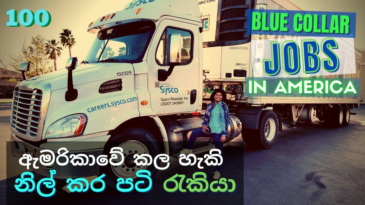 100 - ඇමරිකාවේ කල හැකි නිල් කර පටි රැකියා | Blue Collar Jobs in America