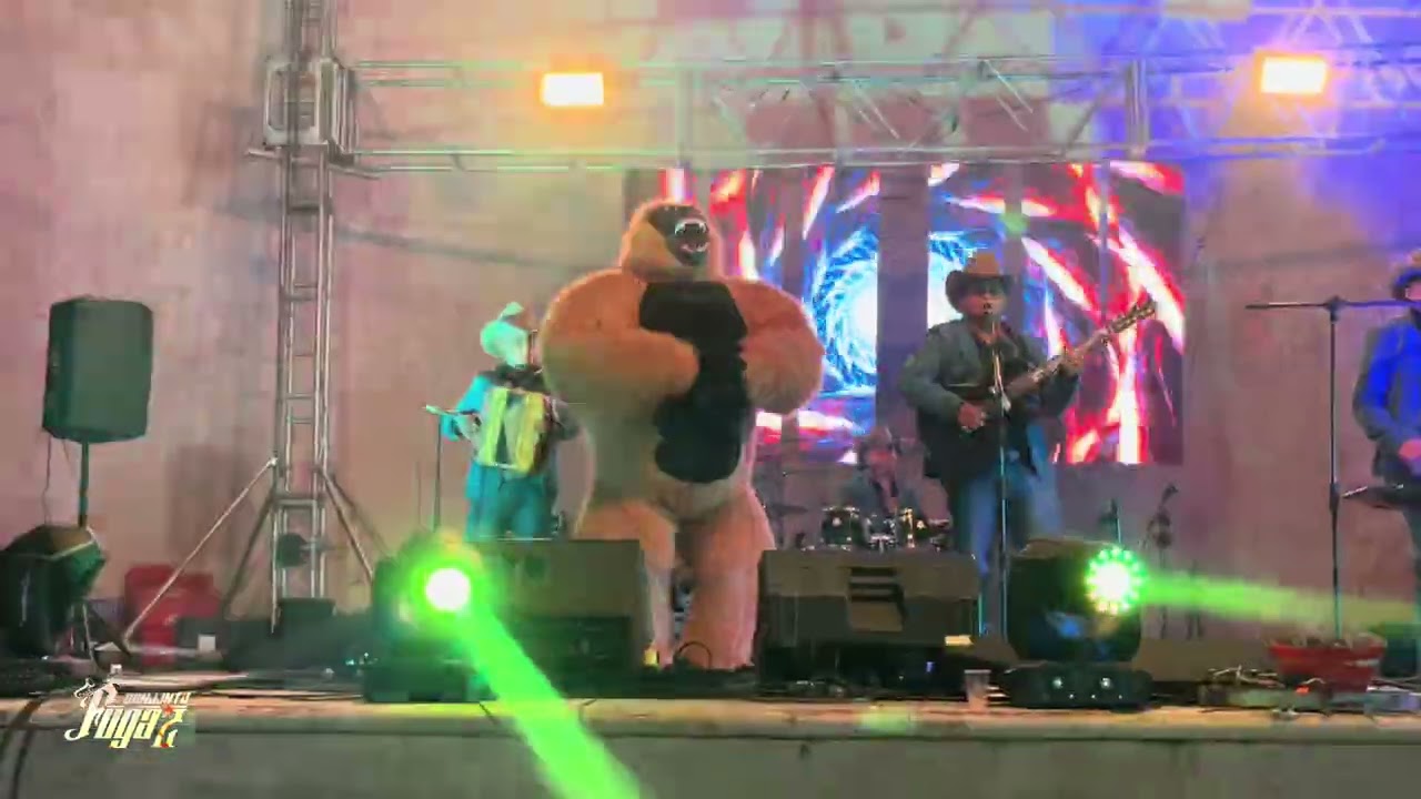 El Meduxo - Conjunto Fugaz 🪼🪼