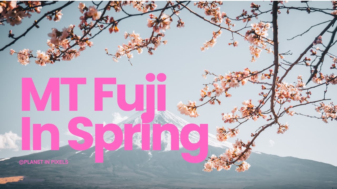 Mt Fuji in Spring ❤️