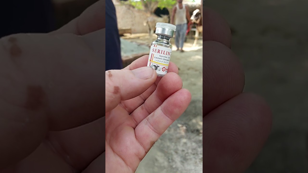 introduction Sirallin injection