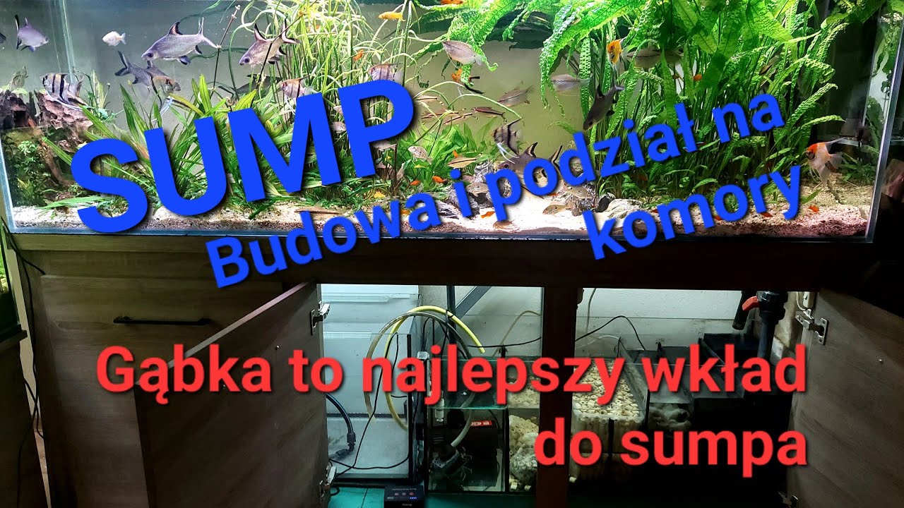 SUMP. Budowa i podział na komory. Gąbka to najlepszy wkład do sumpa . Filtracja najważniejsza.