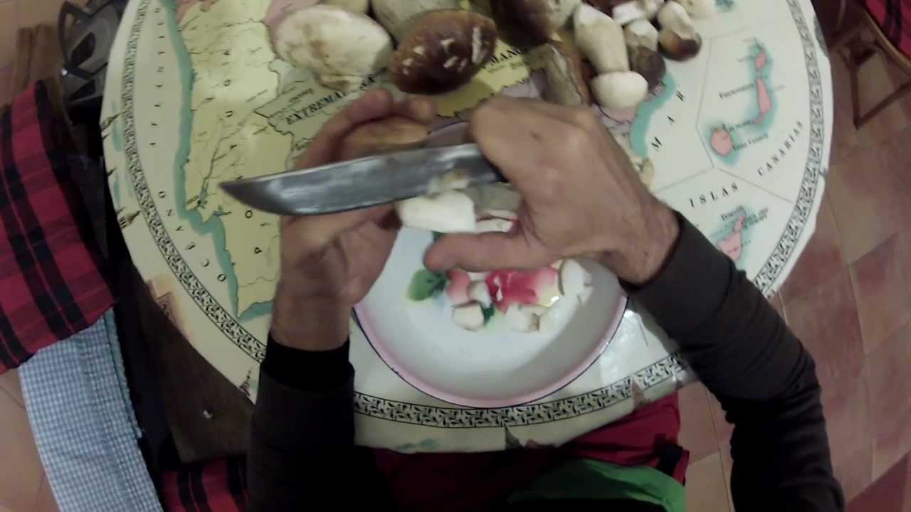 COMO LIMPIAR Y CORTAR  BOLETUS