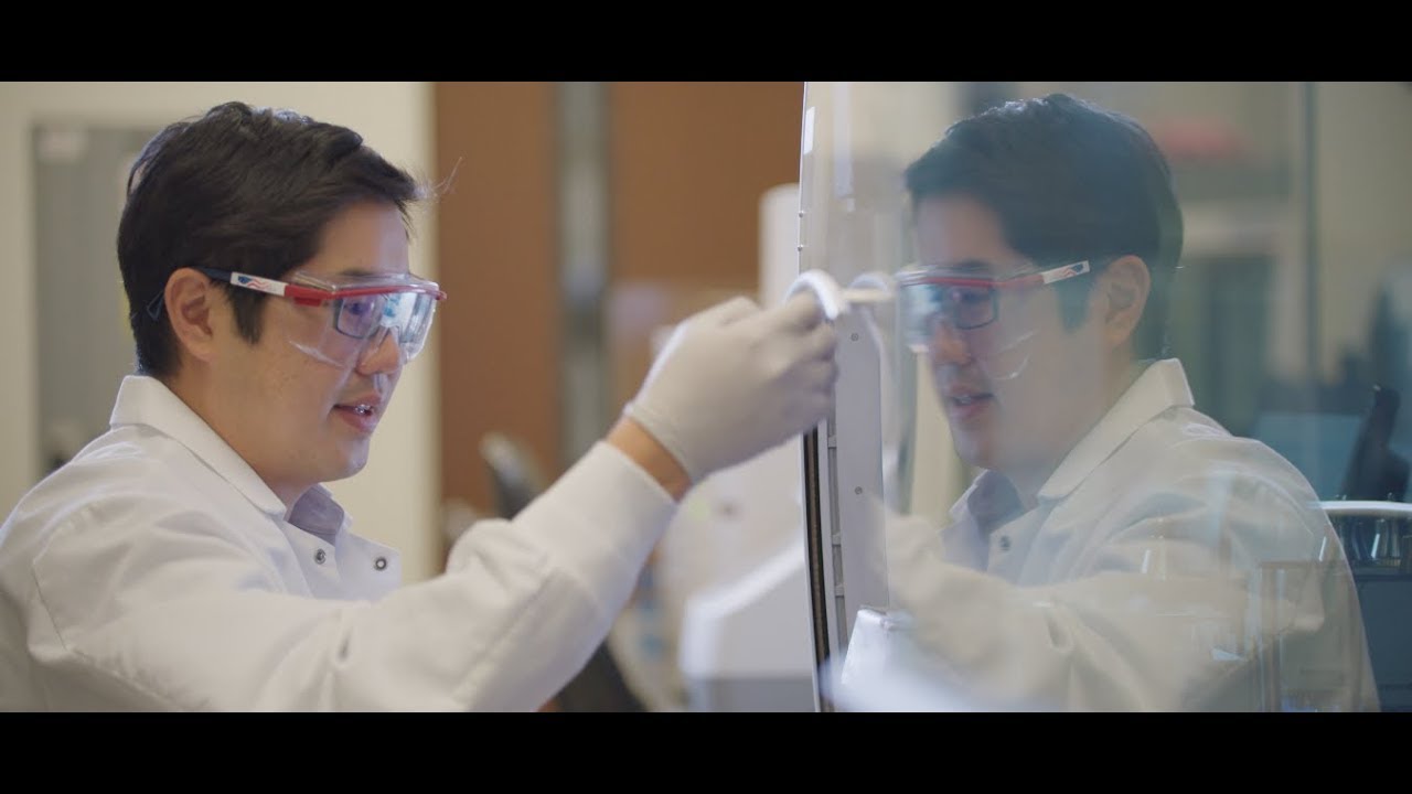 Using AmpliSeq for Illumina Custom RNA panels for targeted gene expression profiling