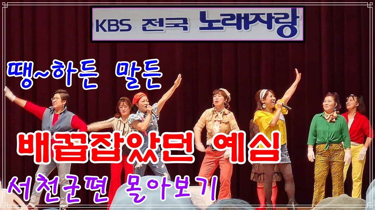 [몰아보기]  땡~하든 말든 진짜 배꼽잡았던 예심 서천군편 #전국노래자랑